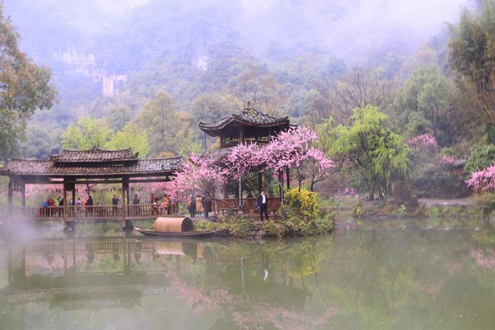 植物大战僵尸16